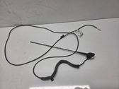 Radio antenna