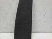 (B) pillar trim (bottom)