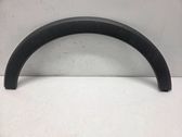 Fender trim (molding)