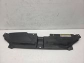 Radiator trim