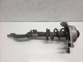 Front shock absorber/damper