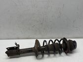 Front shock absorber with coil spring