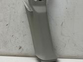 (C) pillar trim