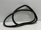 Front door rubber seal