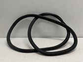 Rear door rubber seal (on body)