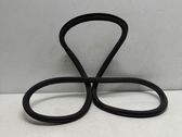Rear door rubber seal (on body)