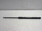 Front bonnet/hood damper/strut