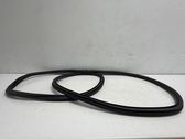 Rear door rubber seal (on body)