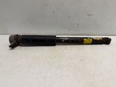 Rear shock absorber/damper