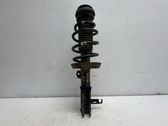 Front shock absorber with coil spring