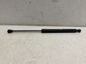 Front bonnet/hood damper/strut