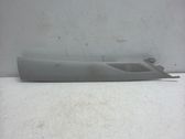 (A) pillar trim