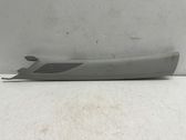 (A) pillar trim