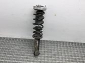 Rear shock absorber/damper