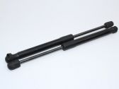 Tailgate/trunk strut/damper