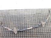 Stabilisator vorne