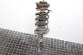 Front shock absorber/damper