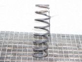 Feder hinten