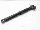 Stoßdämpfer hinten