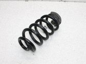 Rear coil spring