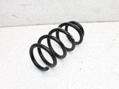 Muelle espiral trasero