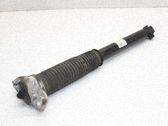 Stoßdämpfer hinten