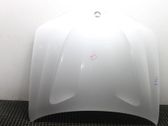 Engine bonnet/hood