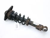 Stoßdämpfer hinten
