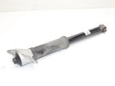 Stoßdämpfer hinten