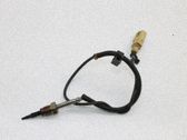 Abgastemperatursensor