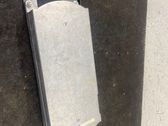 Bluetooth Modul Steuergerät