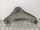 Front lower control arm/wishbone