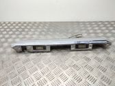 Trunk door license plate light bar