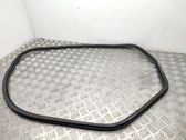 Rear door rubber seal (on body)