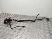 Positive wiring loom