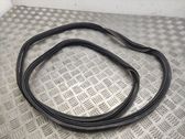 Trunk rubber seal (body)