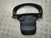 Dashboard trim