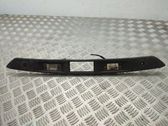 Trunk door license plate light bar