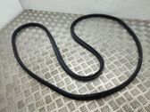 Trunk rubber seal (body)