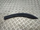 Listón embellecedor de la puerta delantera (moldura)