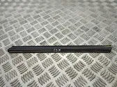 Rear door glass trim molding