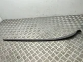 Windshield trim