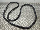 Front door rubber seal