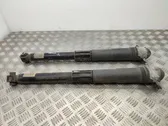 Rear shock absorber/damper