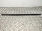 Windshield trim