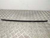 Windshield trim