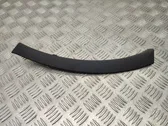 Fender trim (molding)