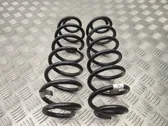 Rear coil spring