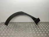 Fender trim (molding)