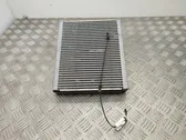 Gaisa kondicioniera radiators (salonā)